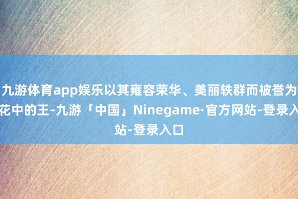 九游体育app娱乐以其雍容荣华、美丽轶群而被誉为百花中的王-九游「中国」Ninegame·官方网站-登录入口
